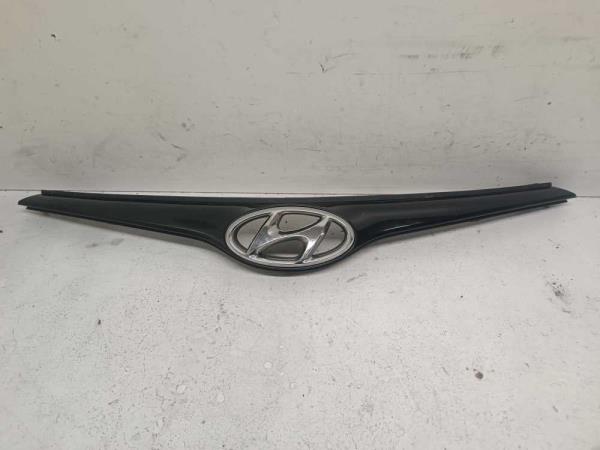 CALANDRE HYUNDAI - Vue 1